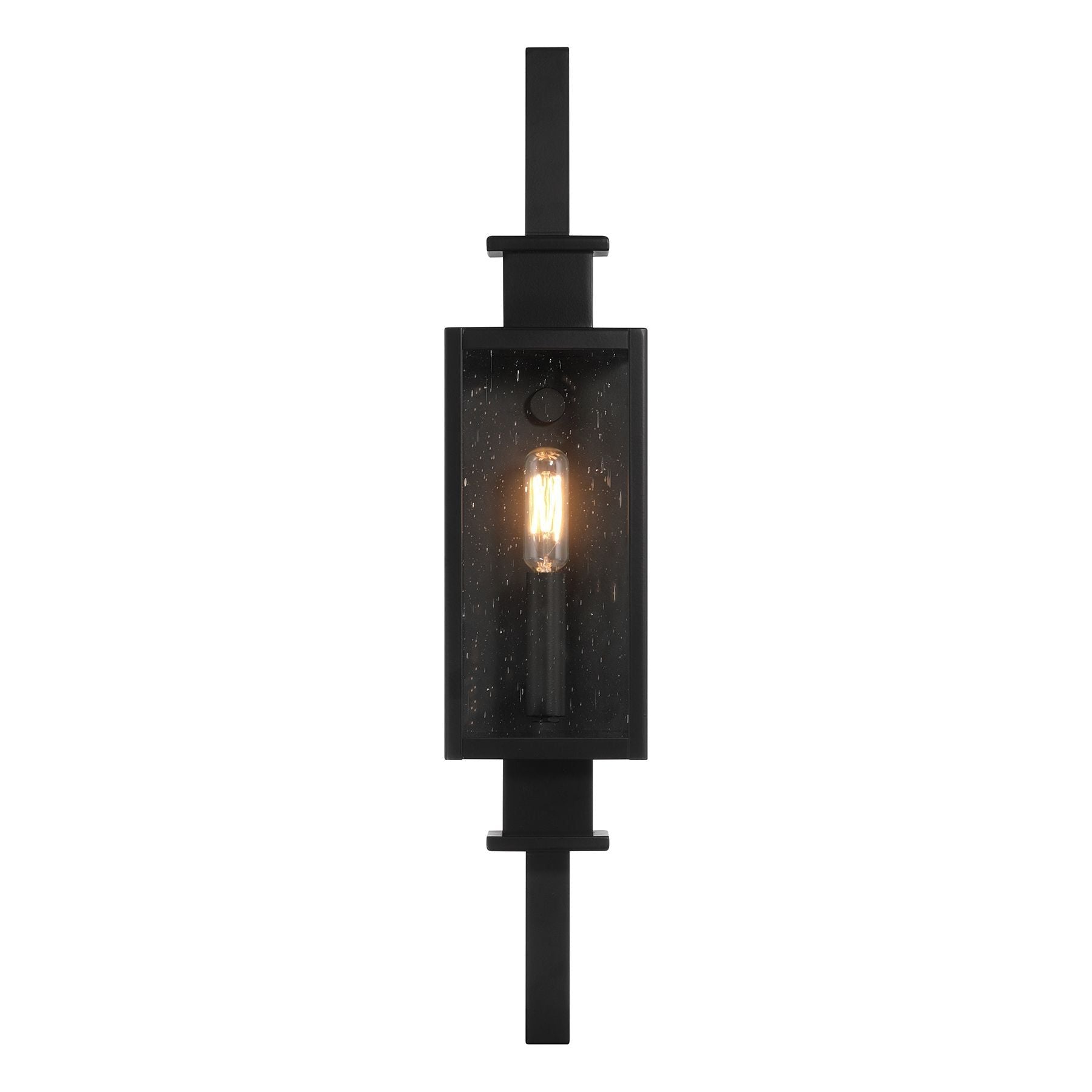 Ascott 1-Light Outdoor Wall Lantern