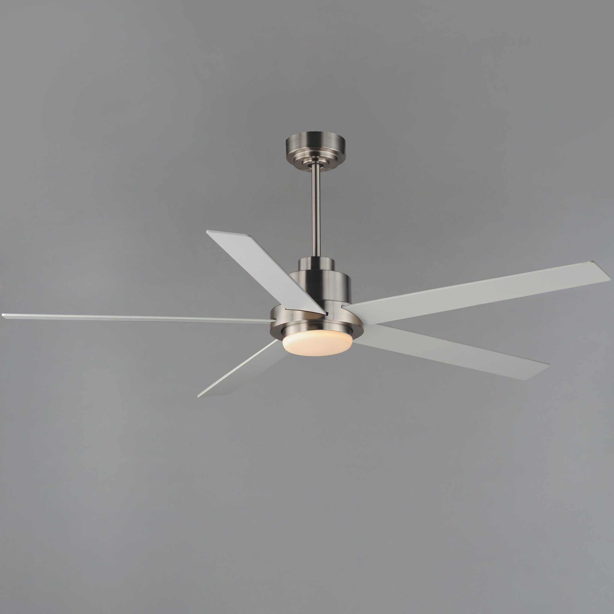 Daisy 60" 5-Blade Fan with LED Light Kit