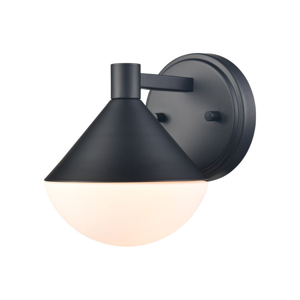 Agawa 1-Light Outdoor Sconce