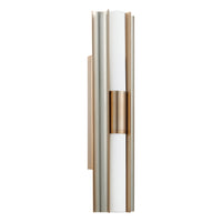 Colton 24" 2-Light 5CCT LED Vanity Light