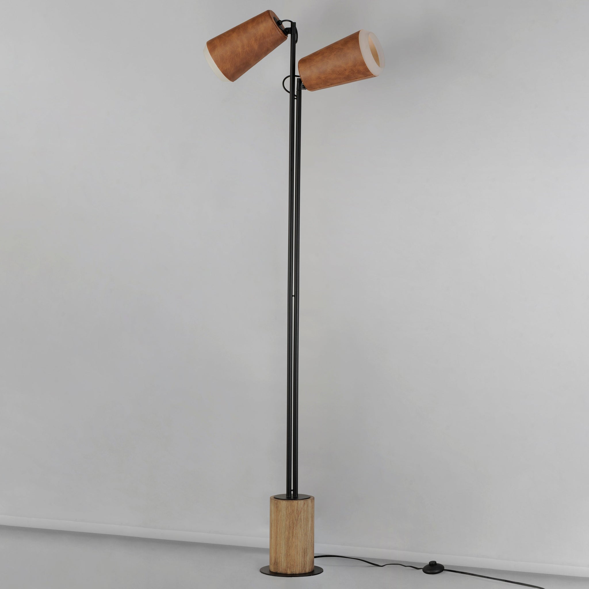 Scout 2-Light LED Floor Lamp
