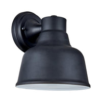 Selden 1-Light Wall Lantern