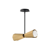 Rizzo 2-Light Pendant