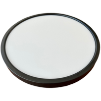 DS 15" LED Flush Mount Downlight 5CCT