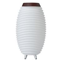 Synergy 50 Rechargeable Indoor/Outdoor Speaker Lamp