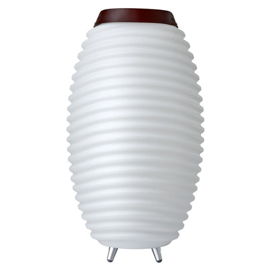 Synergy 65 Rechargeable Indoor/Outdoor Speaker Lamp