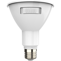 LED 9W PAR30L-5CCT