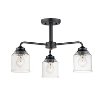 Acadia 3-Light Semi-Flush Mount/Chandelier