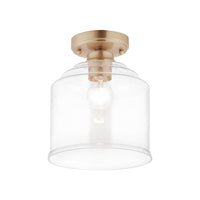 Acadia 1-Light Semi-Flush Mount