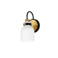 Milk 1-Light Sconce