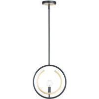 Clip 1-Light Mini Pendant/Semi Flush Mount