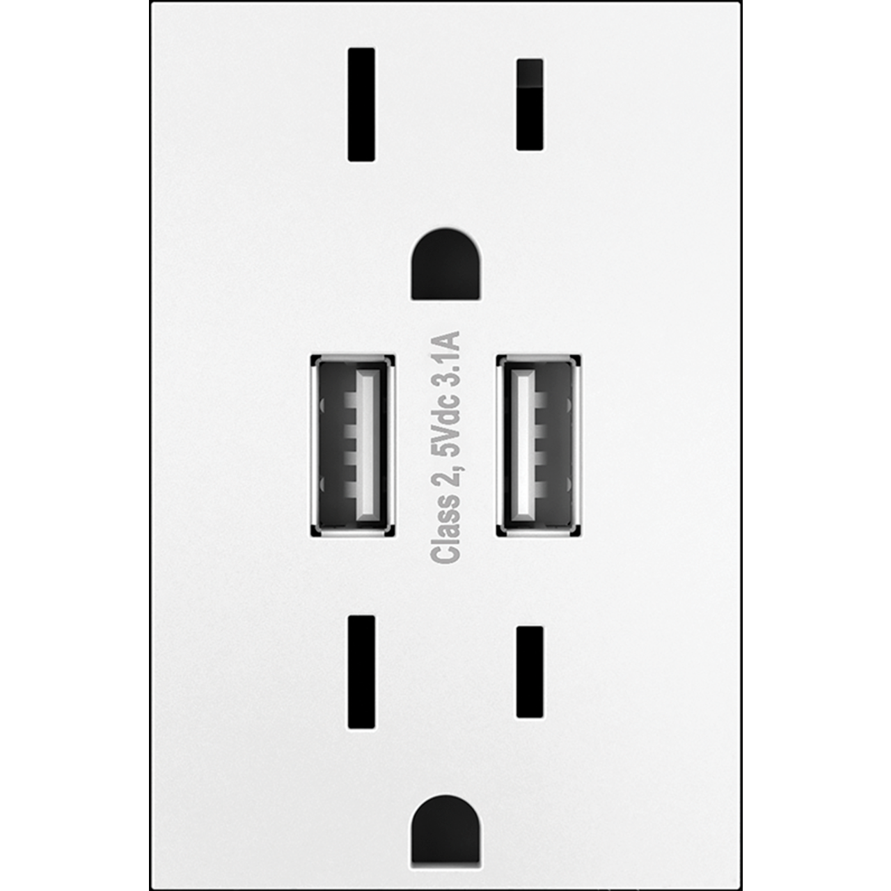 Dual USB Plus-Size Outlet Combo with Matching Wall Plate