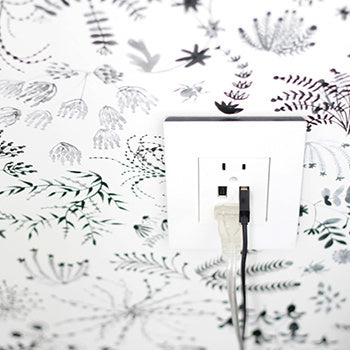 Dual USB Plus-Size Outlet Combo with Matching Wall Plate