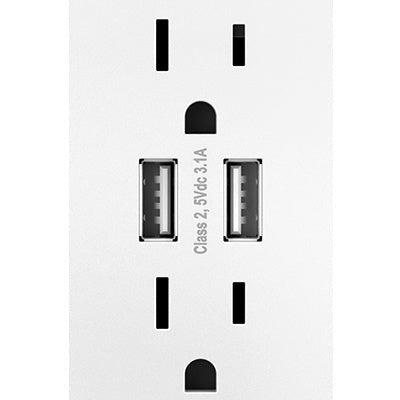 Dual USB Plus-Size Outlet Combo with Matching Wall Plate