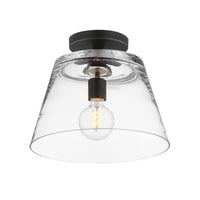 Hudson 1-Light Semi-Flush Mount/Pendant