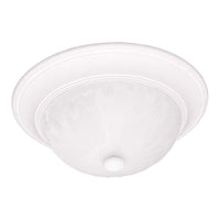 2-Light 13" Ceiling Light