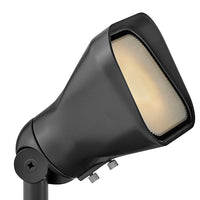 Hardy Island Accent Flood Light 12V Lumacore LED