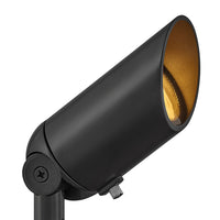 Hardy Island Accent Spot Light 12V MR16 LED