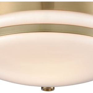 Riley 10" Wide 1-Light Flush Mount