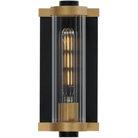 Opulent 1-Light Outdoor Wall Sconce
