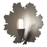 Pangea 1-Light Sconce