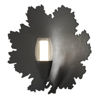 Pangea 1-Light Sconce