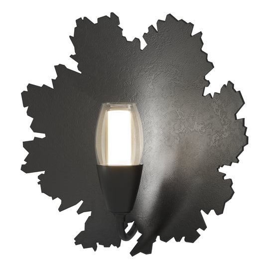 Pangea 1-Light Sconce
