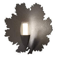 Pangea 1-Light Sconce