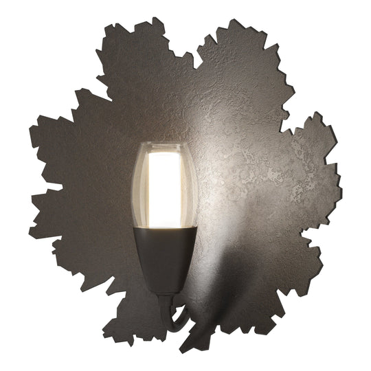 Pangea 1-Light Sconce