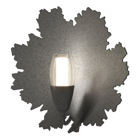 Pangea 1-Light Sconce