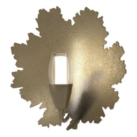Pangea 1-Light Sconce
