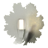 Pangea 1-Light Sconce