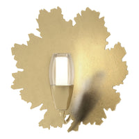Pangea 1-Light Sconce