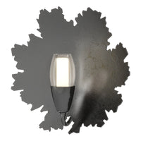Pangea 1-Light Sconce