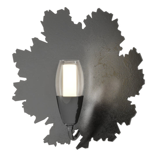 Pangea 1-Light Sconce