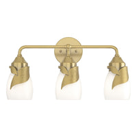 Lapas 3-Light Bath Sconce