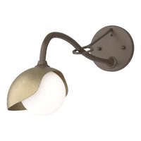 Brooklyn 1-Light Single Shade Long-Arm Sconce