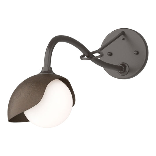 Brooklyn 1-Light Single Shade Long-Arm Sconce