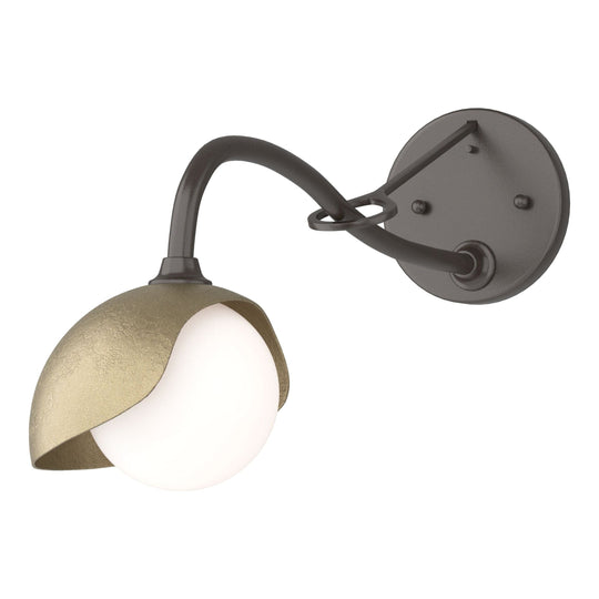 Brooklyn 1-Light Single Shade Long-Arm Sconce
