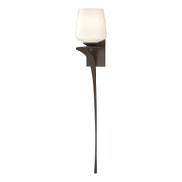 Antasia Single Glass 1-Light Sconce