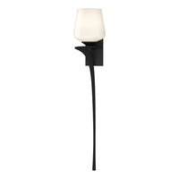 Antasia Single Glass 1-Light Sconce