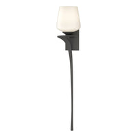 Antasia Single Glass 1-Light Sconce