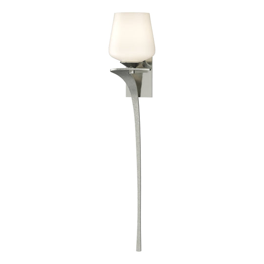 Antasia Single Glass 1-Light Sconce