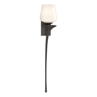 Antasia Single Glass 1-Light Sconce