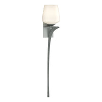Antasia Single Glass 1-Light Sconce