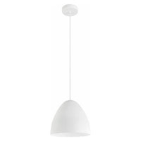 Sarabia 1-Light Pendant