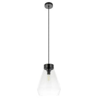 Montey 1-Light Pendant