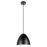 Sarabia 1-Light Pendant