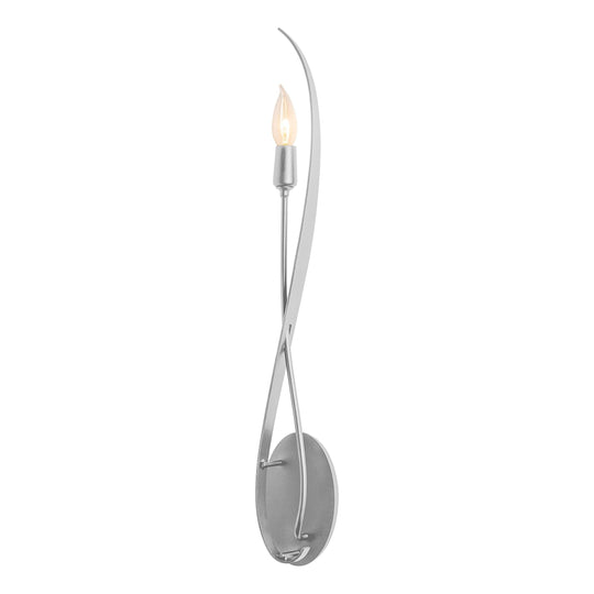 Willow Sconce