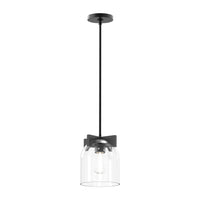 Scoop 1-Light Pendant/Flush Mount